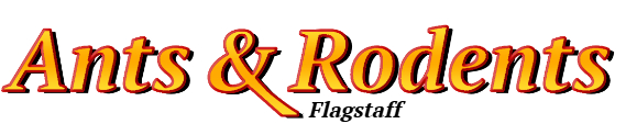 Flagstaff Ant Exterminator & Rodent Control Company Logo